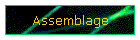 Assemblage