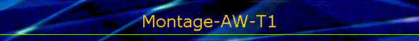Montage-AW-T1