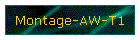 Montage-AW-T1